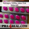 Kamagra 100Mg Oral Jelly Sildenafil 10